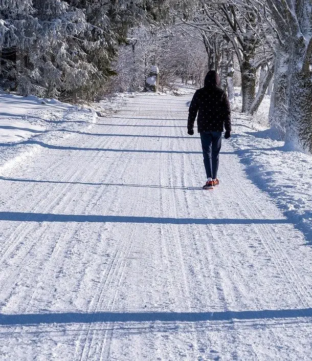 shoveled snow path